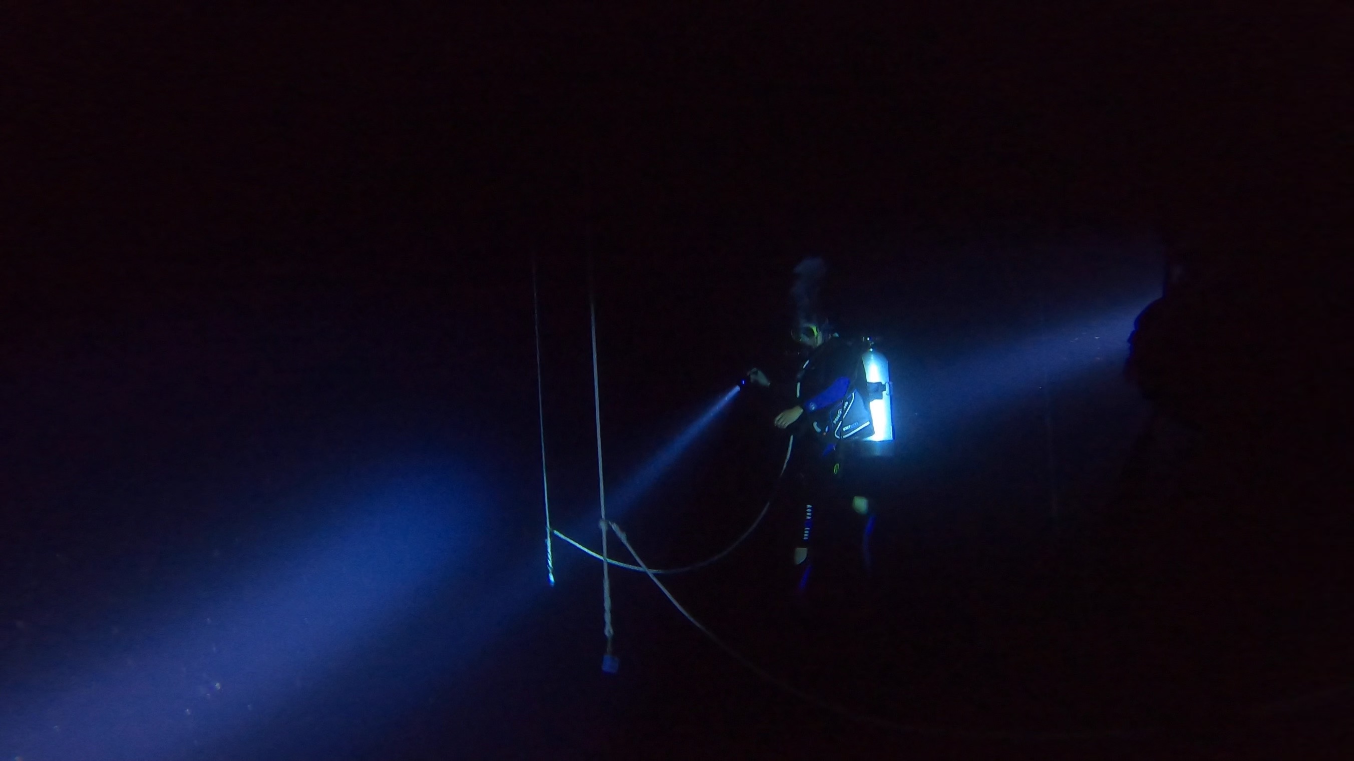 Pelagic Blackwater Night Dive
