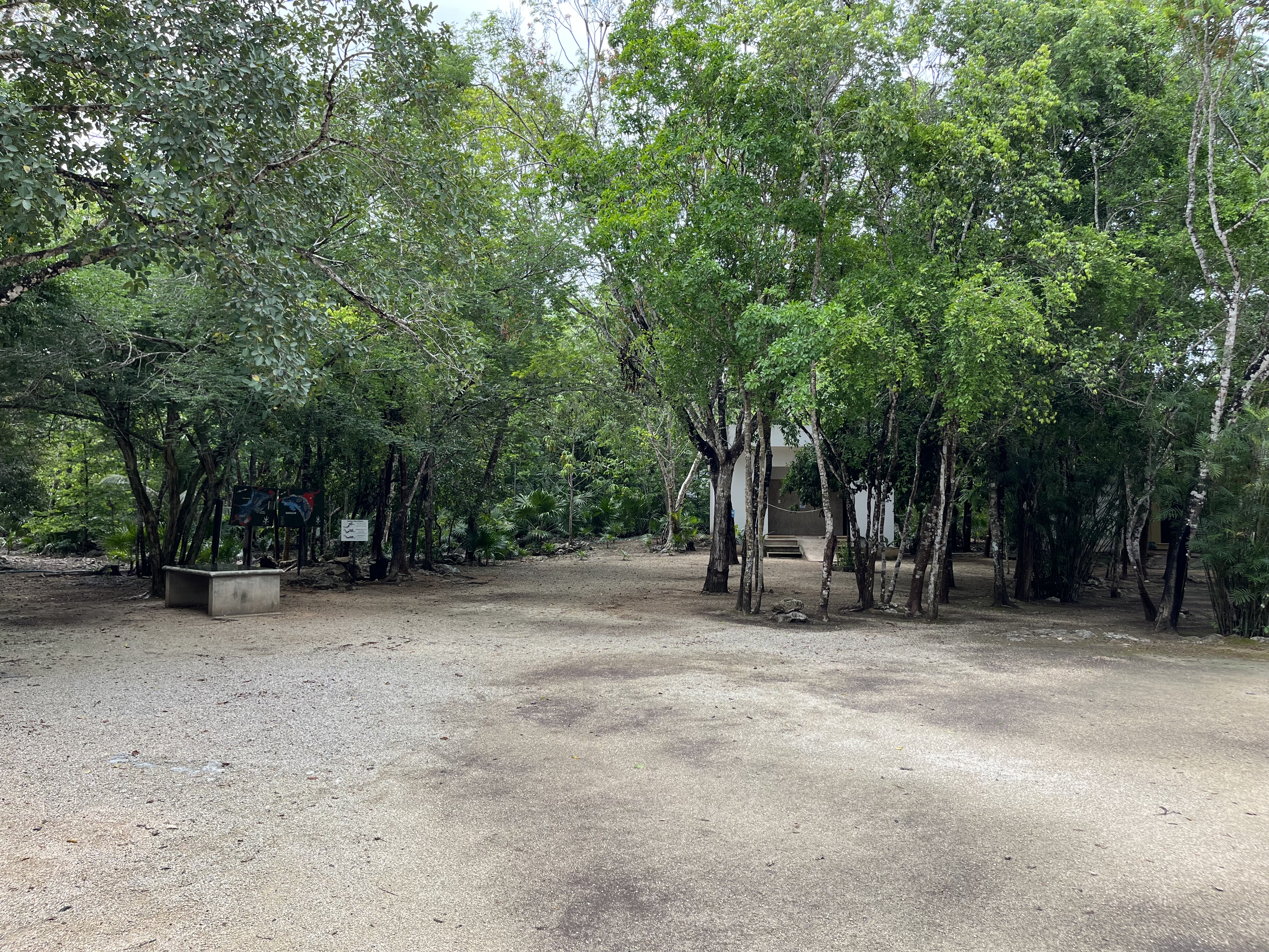 Chac Mool Cenote