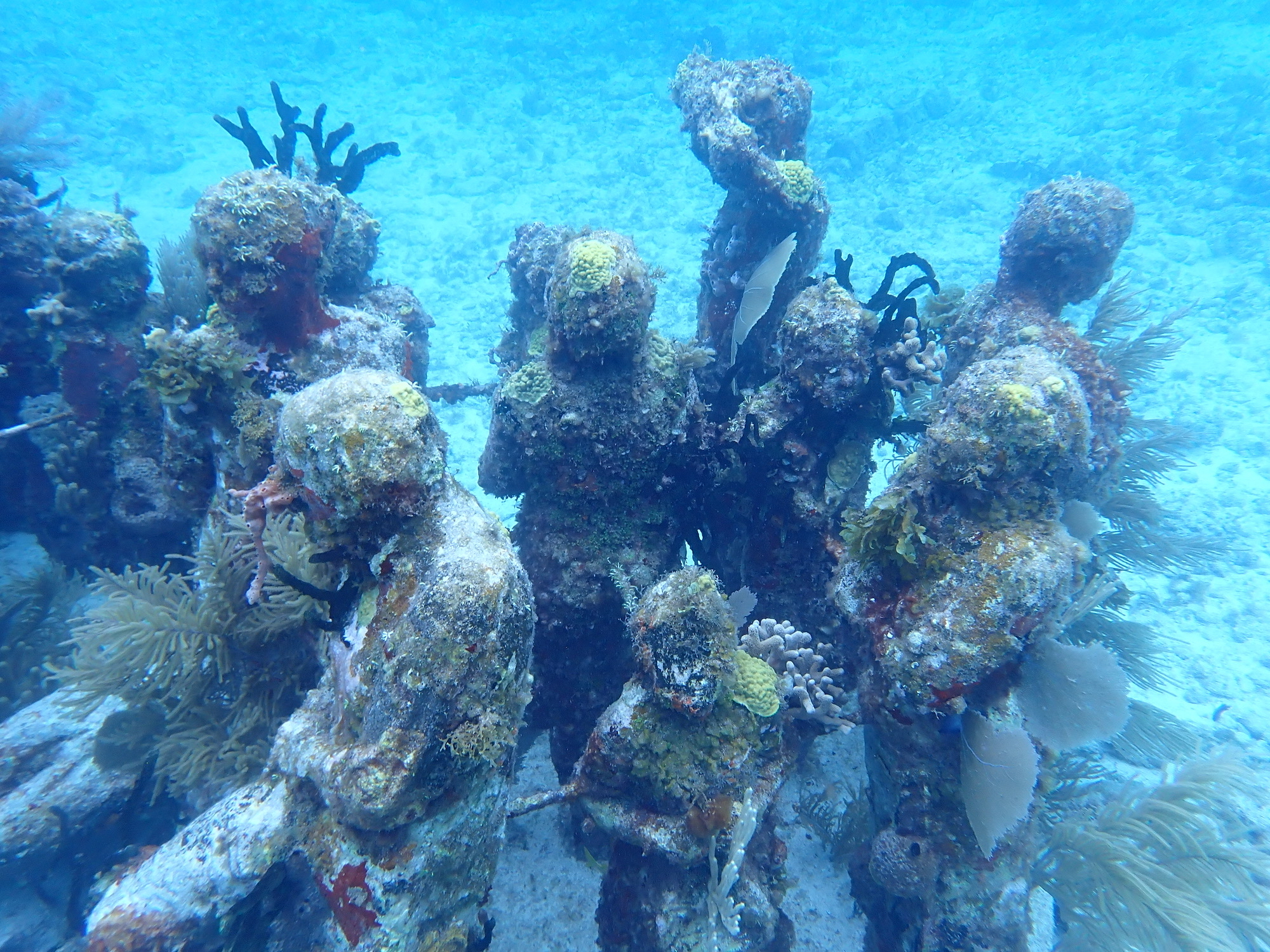 MUSA (Underwater Museum of Art)