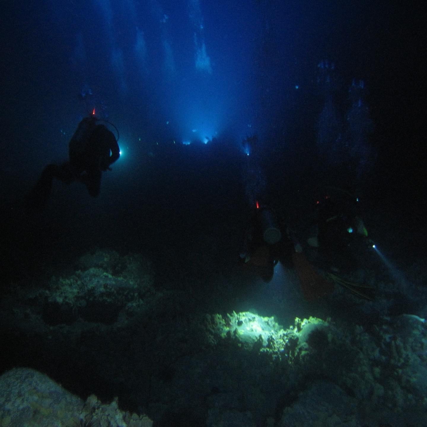 Garden Eel Cove / Manta Ray Heaven