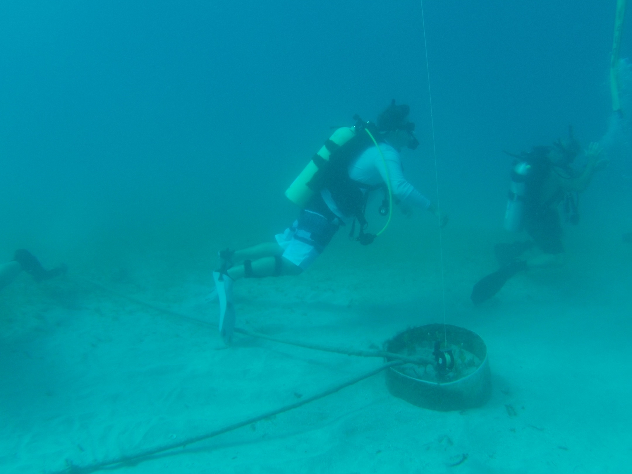 Guantanamo Bay Reef