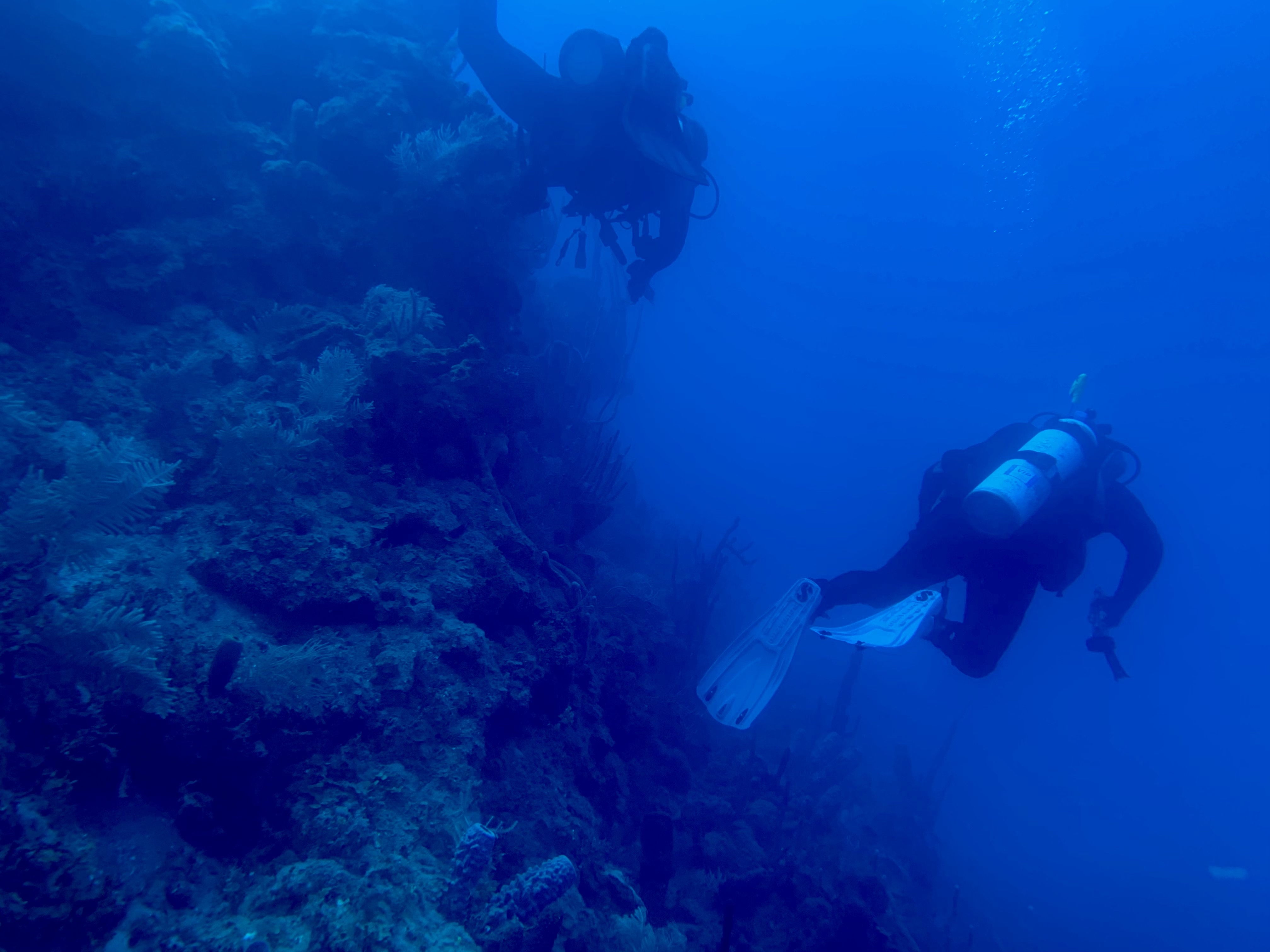 Guantanamo Bay Reef