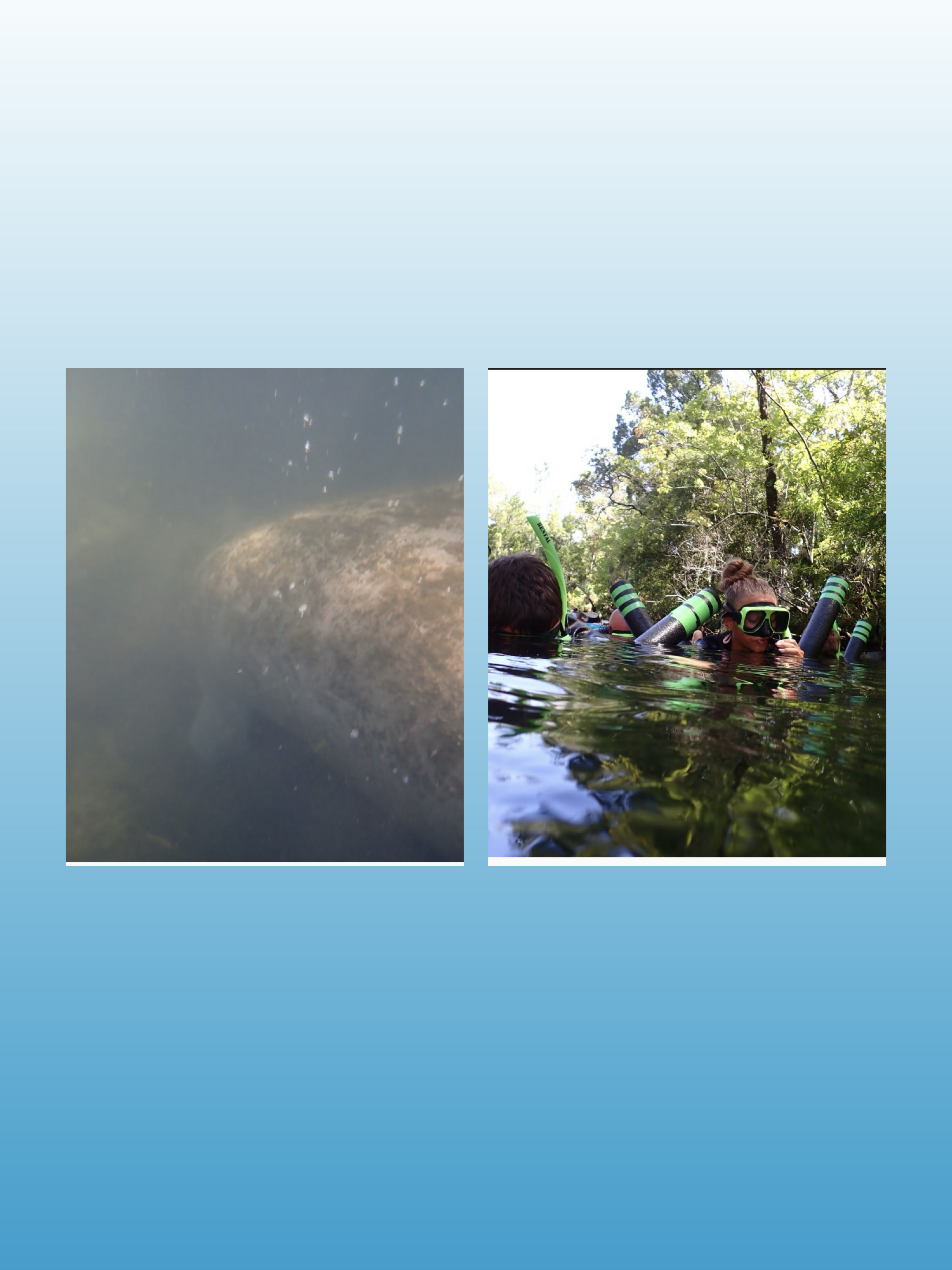 Crystal River - Three Sisters Springs