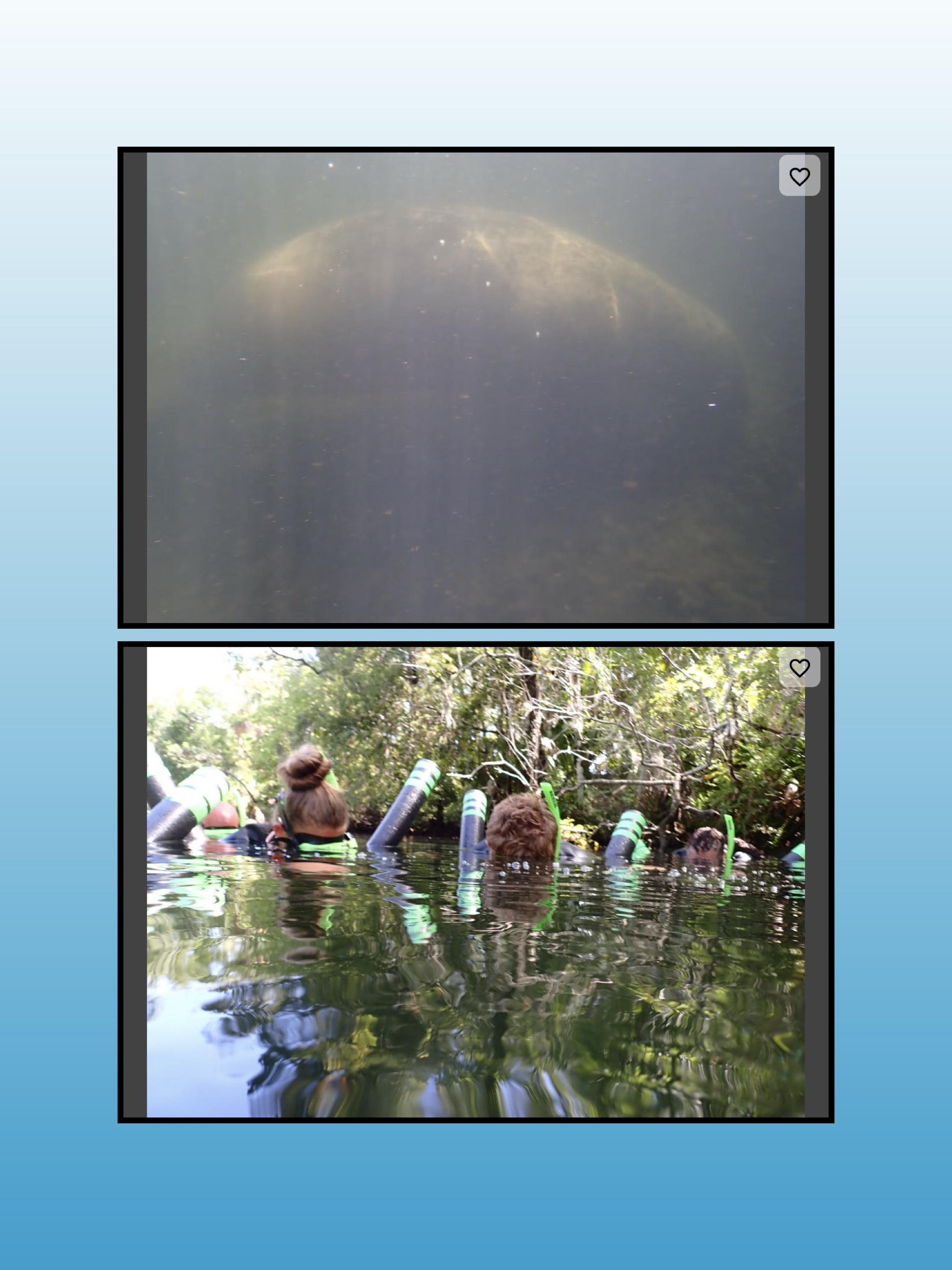 Crystal River - Three Sisters Springs